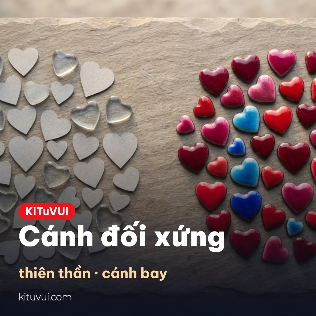 Cánh đối xứng, thiên thần và cánh bay