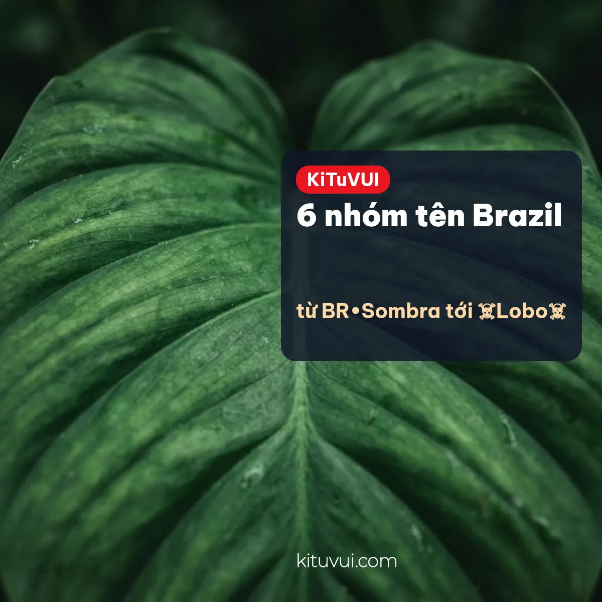 Sáu nhóm tên Brazil trong Free Fire