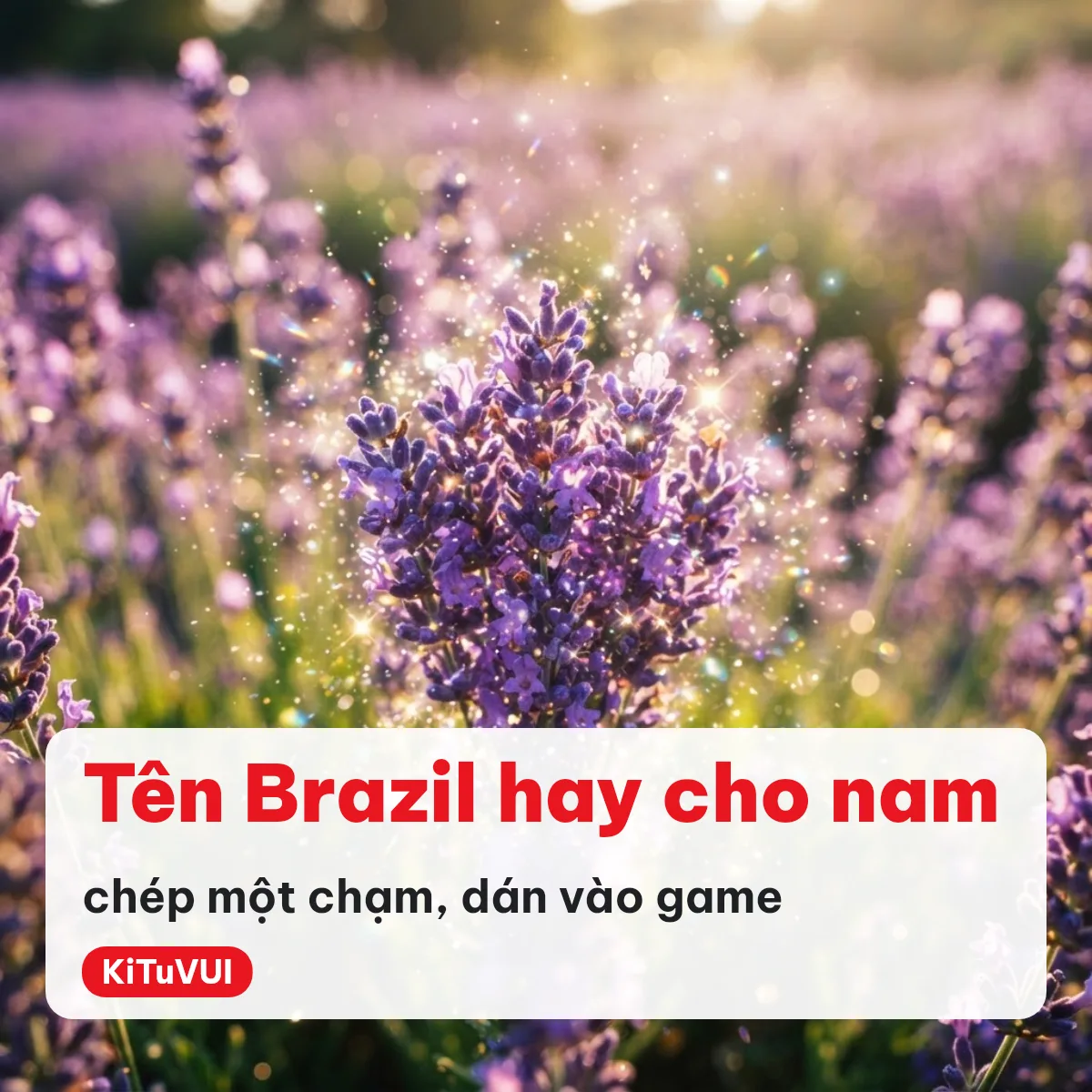 Tên Brazil hay cho nam copy một chạm